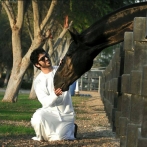 Alwasmy sur yala.fm