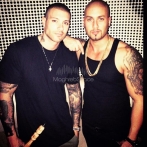 Massari sur yala.fm