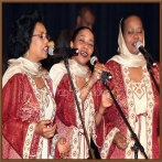 Albalabel sur yala.fm